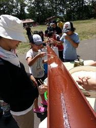 20140720_112933_R.jpg