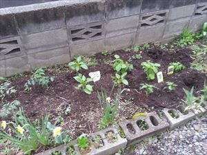 20170516_170430_R.jpg