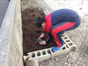 20170520_144518_R.jpg