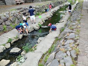 IMG01429_HDR_R.jpg