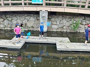 IMG01431_HDR_R.jpg