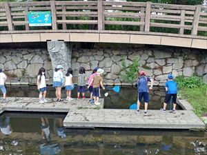 IMG01432_HDR_R.jpg