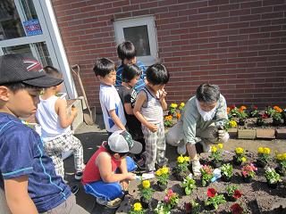 IMG_0945.JPG