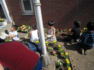 IMG_0950.JPG
